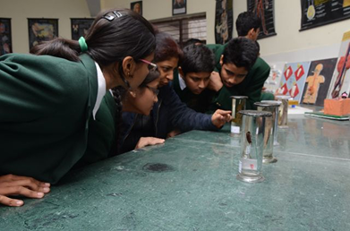 Biology Lab